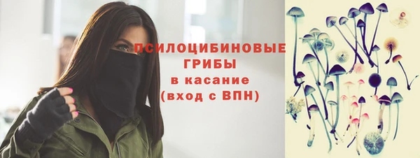 гашик Бородино