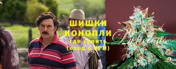 гашик Бородино
