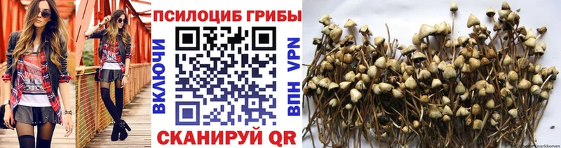 Купить  Поворино  Псилоцибиновые грибы мухоморы 